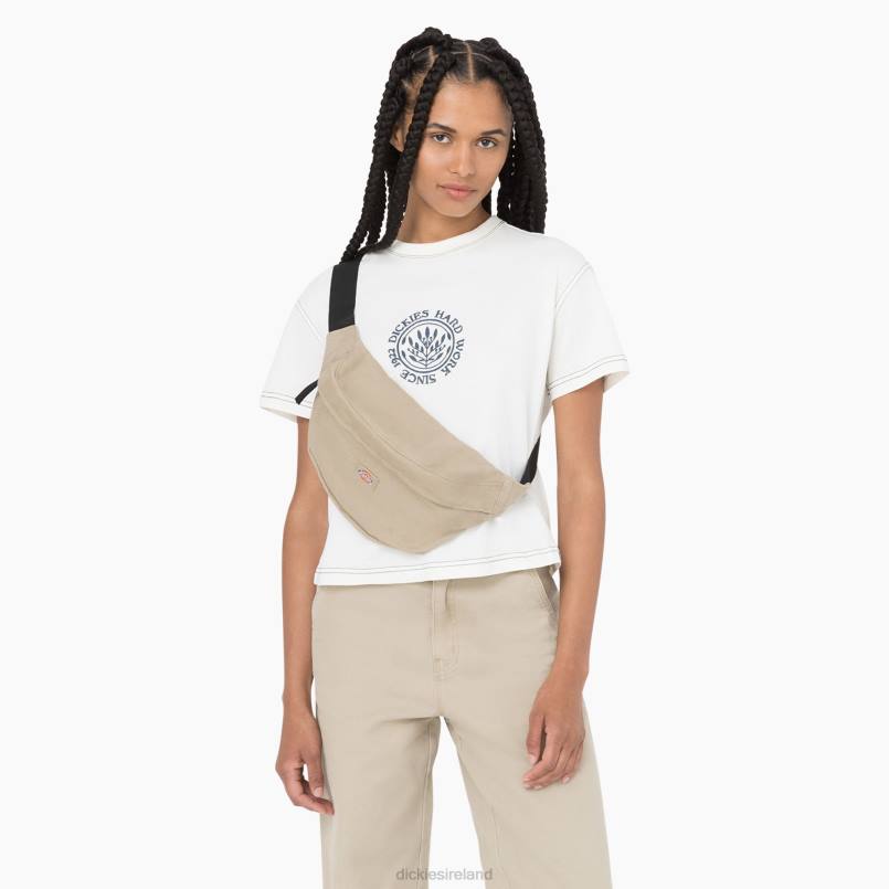 Dickies Unisex Duck Canvas Crossbody Bag Desert Sand (DS) N80J2819 Accessories