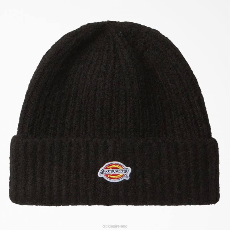 Dickies Unisex Brewton Beanie Black (BK) N80J2815 Accessories