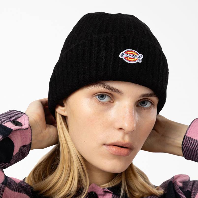 Dickies Unisex Brewton Beanie Black (BK) N80J2815 Accessories
