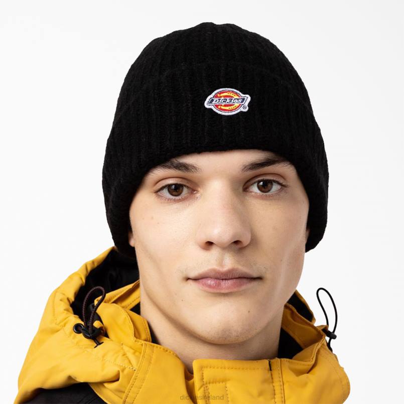 Dickies Unisex Brewton Beanie Black (BK) N80J2815 Accessories