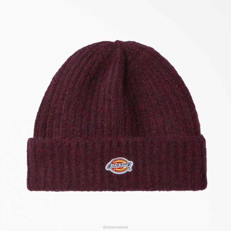 Dickies Unisex Brewton Beanie Grape Wine (GW9) N80J2817 Accessories