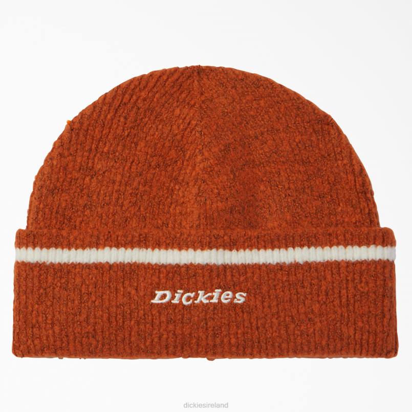 Dickies Unisex Chalkville Beanie Gingerbread Brown (IE) N80J2923 Accessories