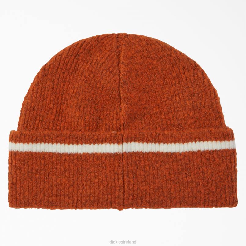 Dickies Unisex Chalkville Beanie Gingerbread Brown (IE) N80J2923 Accessories