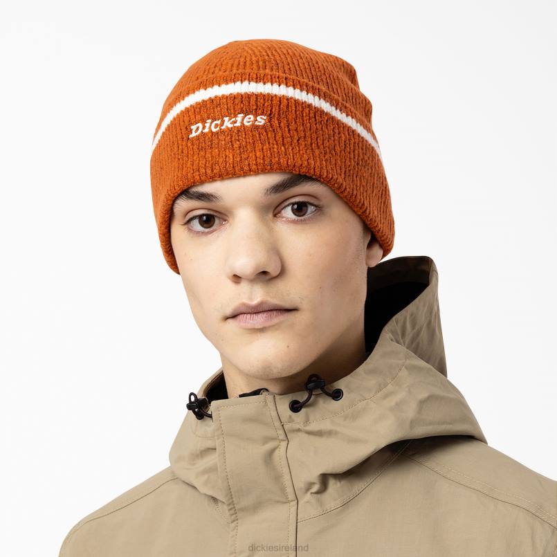 Dickies Unisex Chalkville Beanie Gingerbread Brown (IE) N80J2923 Accessories