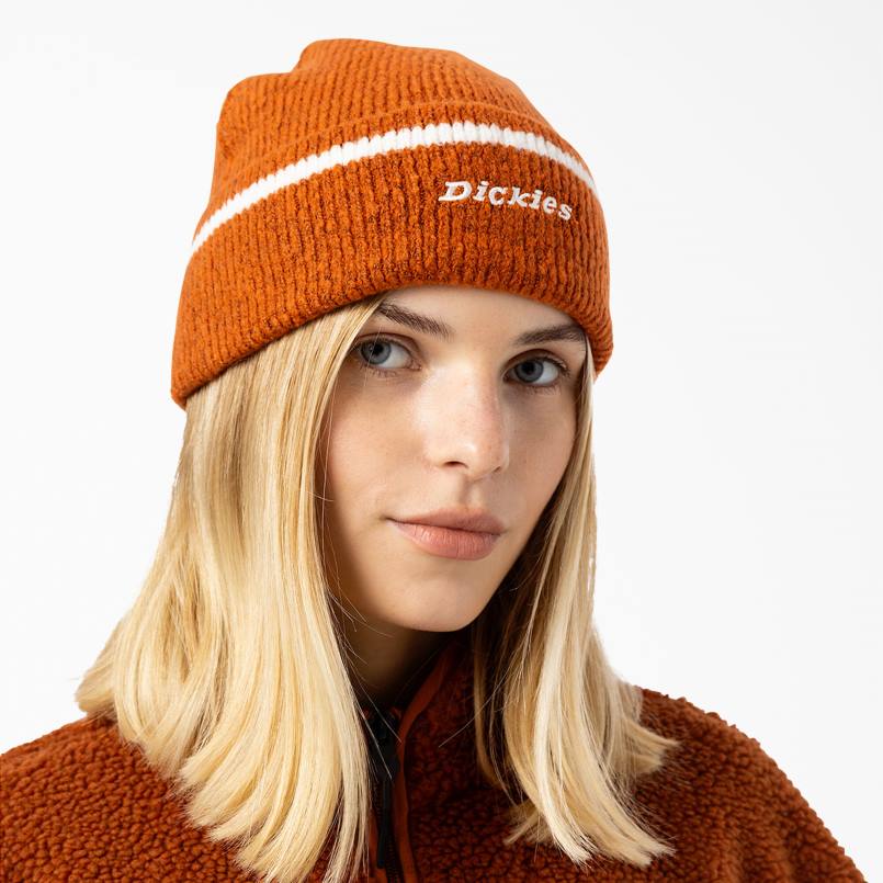 Dickies Unisex Chalkville Beanie Gingerbread Brown (IE) N80J2923 Accessories