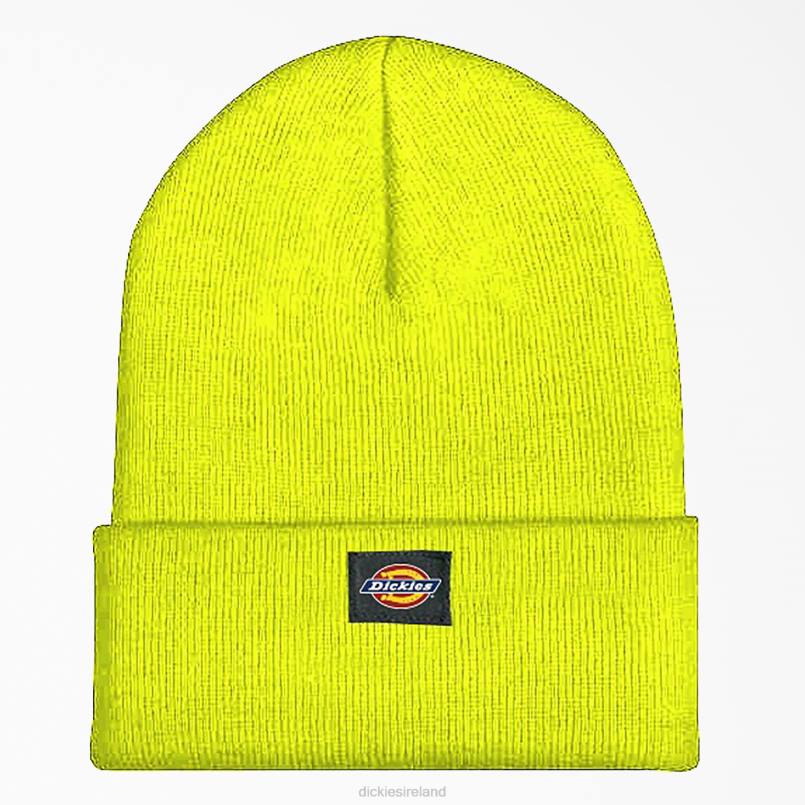 Dickies Unisex Cuffed Acrylic Beanie Bright Yellow (BWD) N80J1481 Accessories