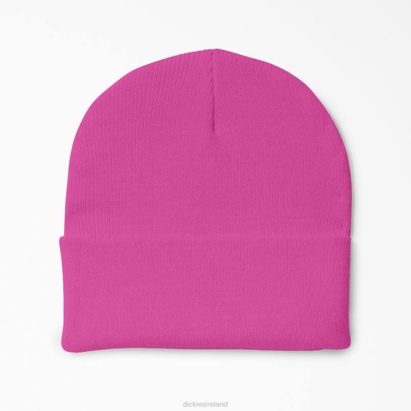 Dickies Unisex Cuffed Knit Beanie Neon Pink (NK) N80J1491 Accessories