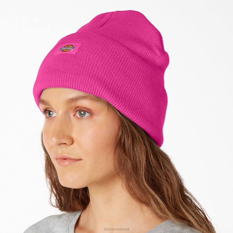 Dickies Unisex Cuffed Knit Beanie Neon Pink (NK) N80J1491 Accessories