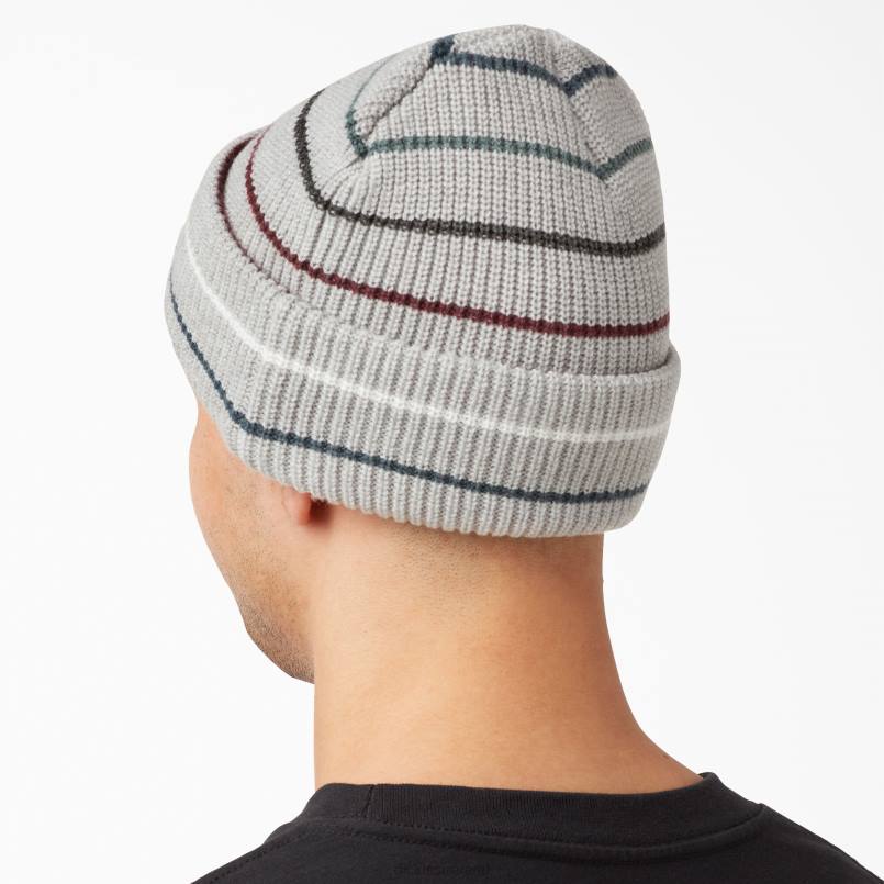 Dickies Unisex Skateboarding Cuffed Beanie Heather Gray Stripe (HGS) N80J2826 Accessories