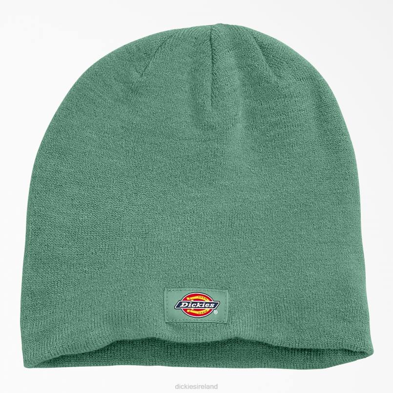 Dickies Unisex Skull Beanie Dark Ivy (D2I) N80J2874 Accessories