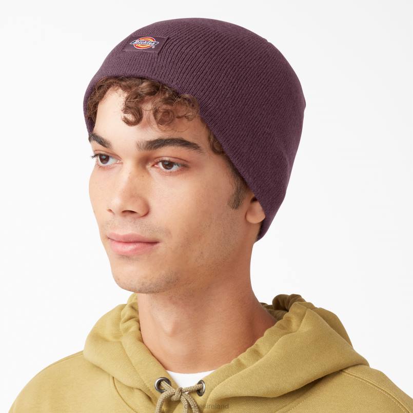 Dickies Unisex Skull Beanie Maroon (MR) N80J2877 Accessories