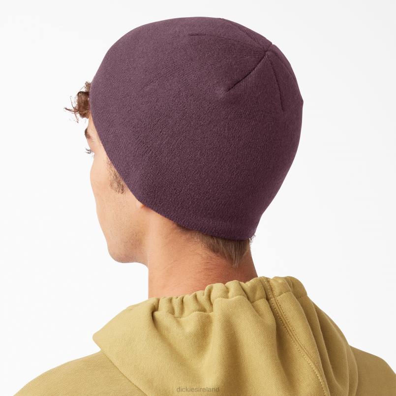 Dickies Unisex Skull Beanie Maroon (MR) N80J2877 Accessories