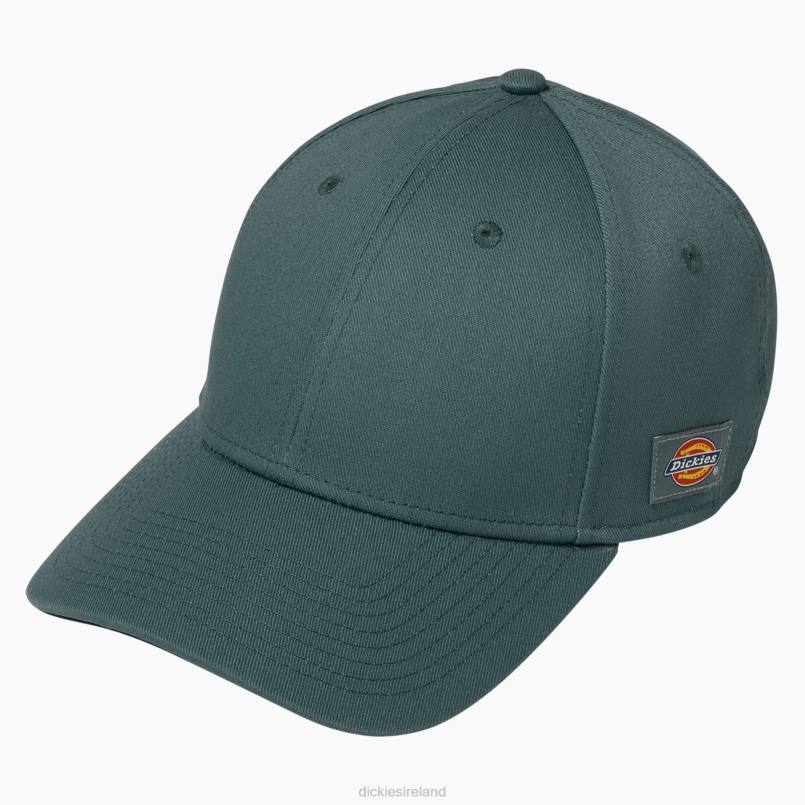 Dickies Unisex 874 Twill Cap Lincoln Green (LN) N80J1468 Accessories