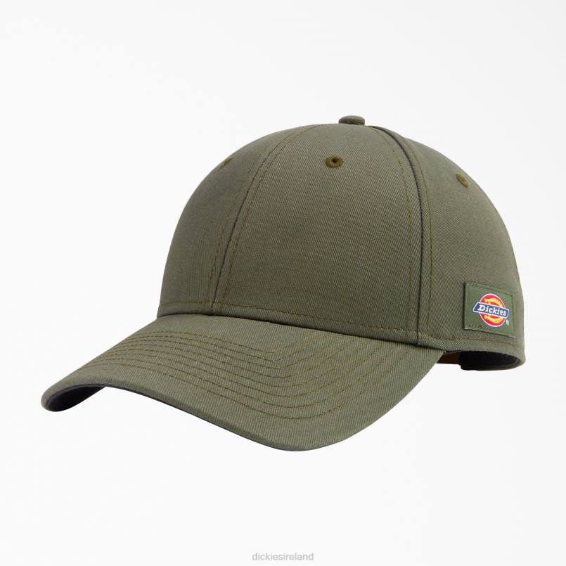 Dickies Unisex 874 Twill Cap Olive Green (OG) N80J1470 Accessories
