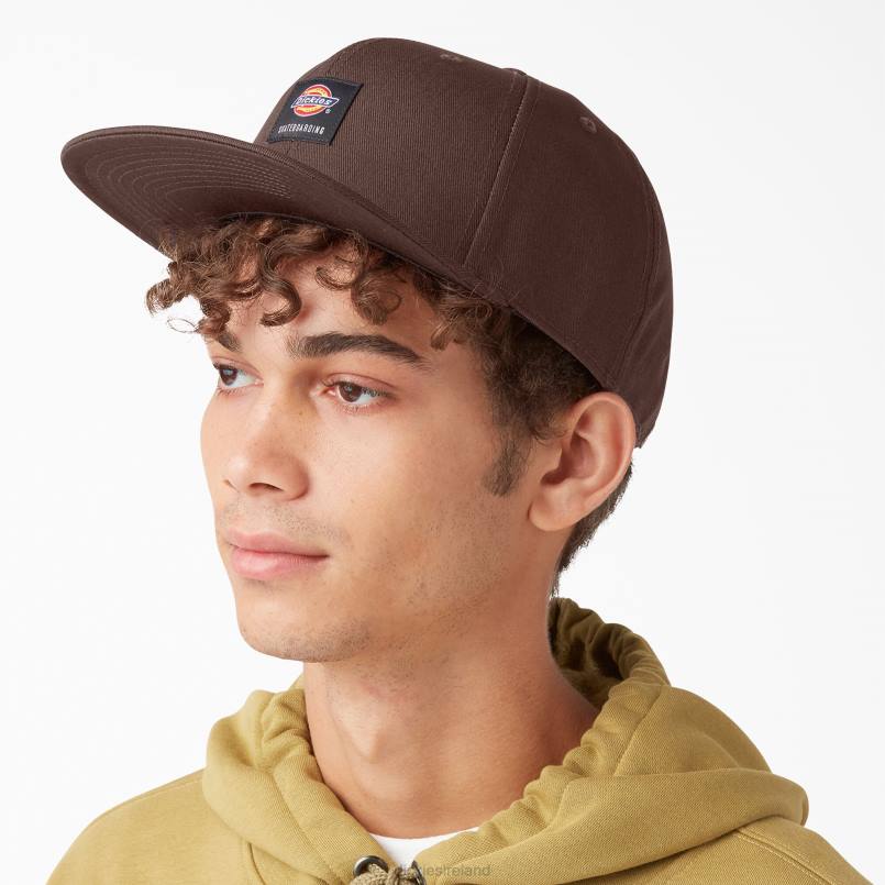 Dickies Unisex Skateboarding Flat Bill Cap Chocolate Brown (CB) N80J2844 Accessories
