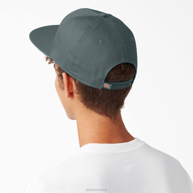 Dickies Unisex Skateboarding Flat Bill Cap Lincoln Green (LN) N80J2846 Accessories