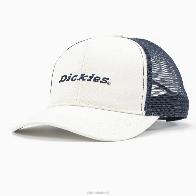 Dickies Unisex Two-Tone Trucker Cap Natural Beige (NT) N80J2866 Accessories