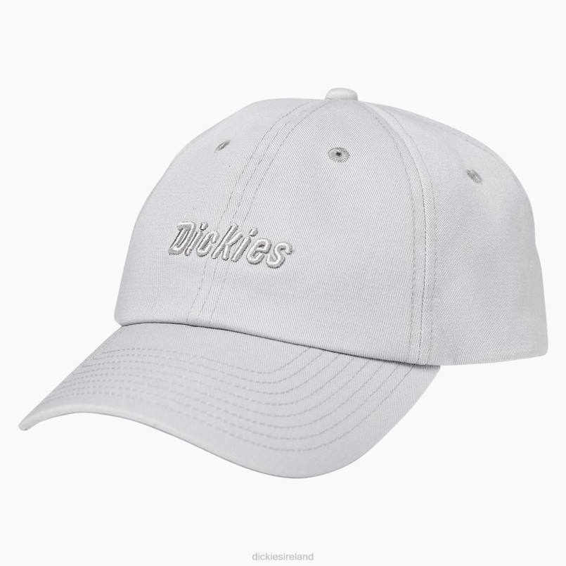 Dickies Women Twill Cap Alloy (AL2) N80J2934 Accessories
