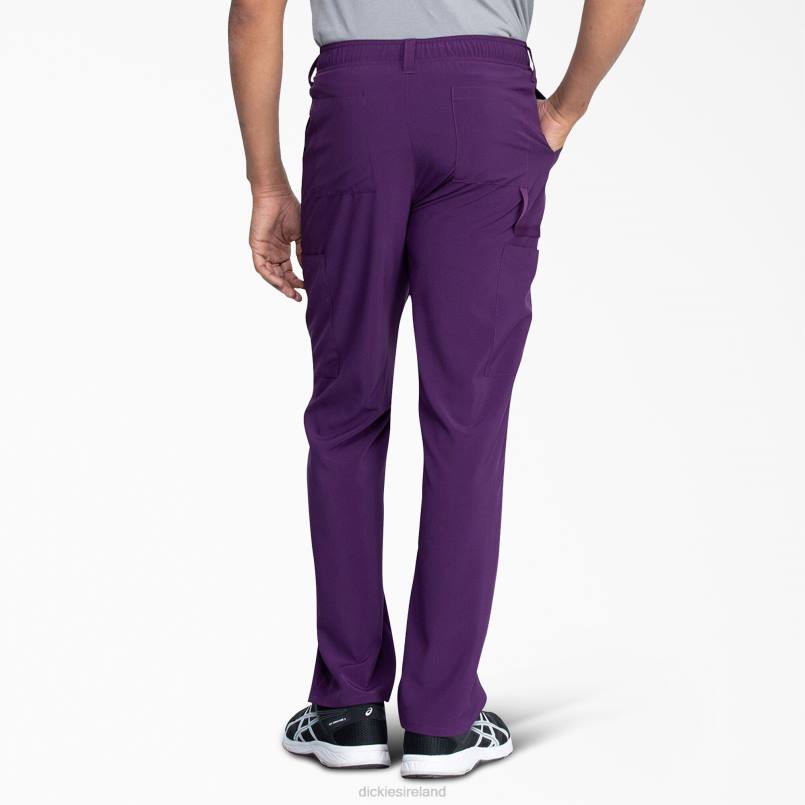 Dickies Men EDS Essentials Scrub Pants Purple Eggplant (EGG) N80J1375 Apparel