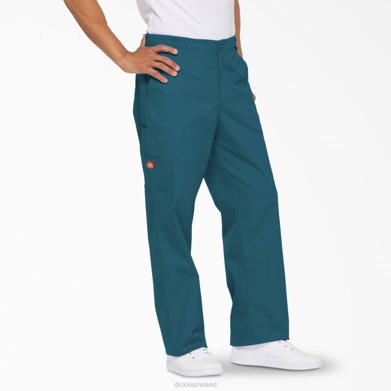 Dickies Men EDS Signature Cargo Scrub Pants Caribbean Blue (CRB) N80J1222 Apparel