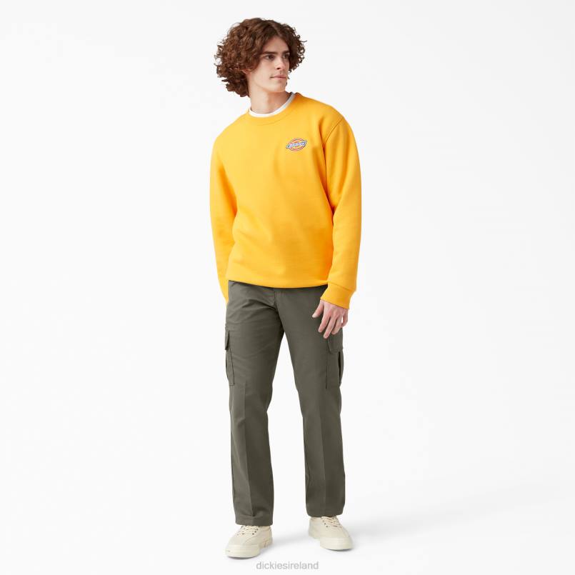 Dickies Men FLEX Regular Fit Cargo Pants Moss Green (MS) N80J39 Apparel