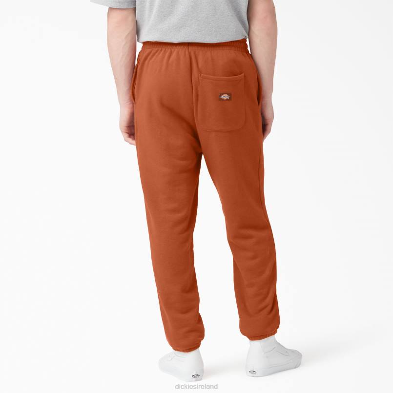 Dickies Men Uniontown Sweatpants Regular N80J312 Apparel
