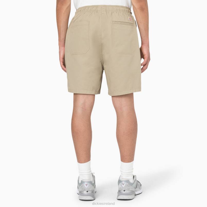 Dickies Men Pelican Rapids Shorts 6