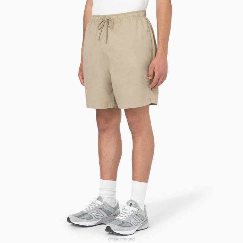 Dickies Men Pelican Rapids Shorts 6