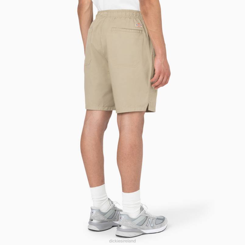 Dickies Men Pelican Rapids Shorts 6