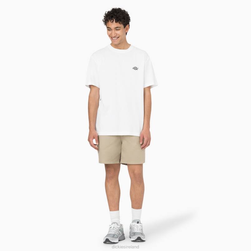 Dickies Men Pelican Rapids Shorts 6