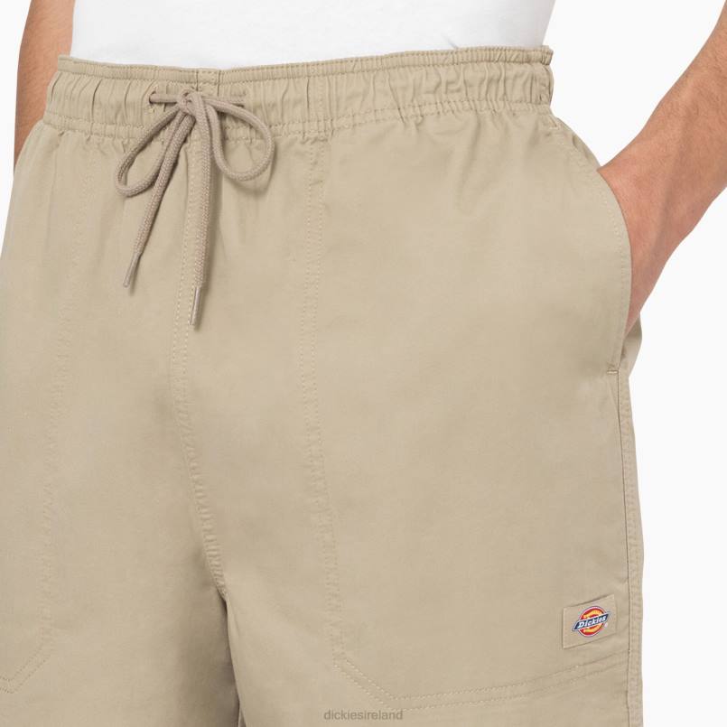 Dickies Men Pelican Rapids Shorts 6