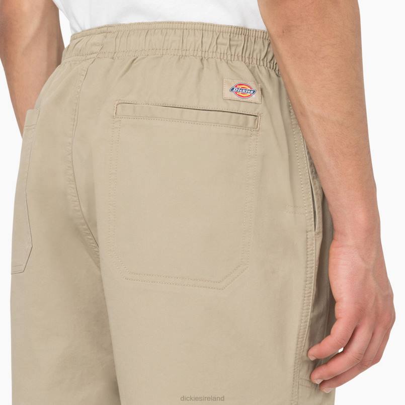 Dickies Men Pelican Rapids Shorts 6