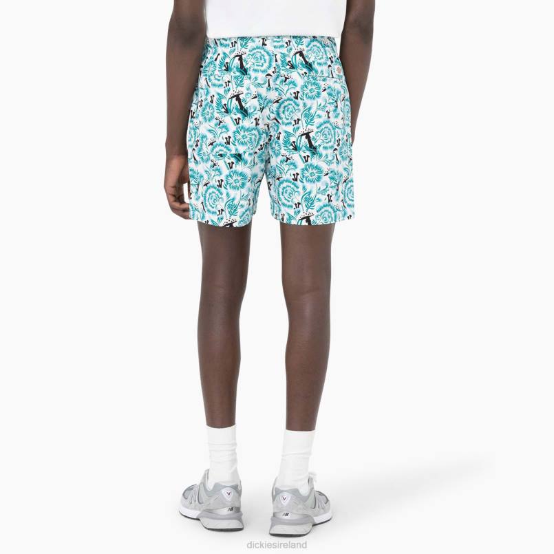 Dickies Men Roseburg Shorts 7