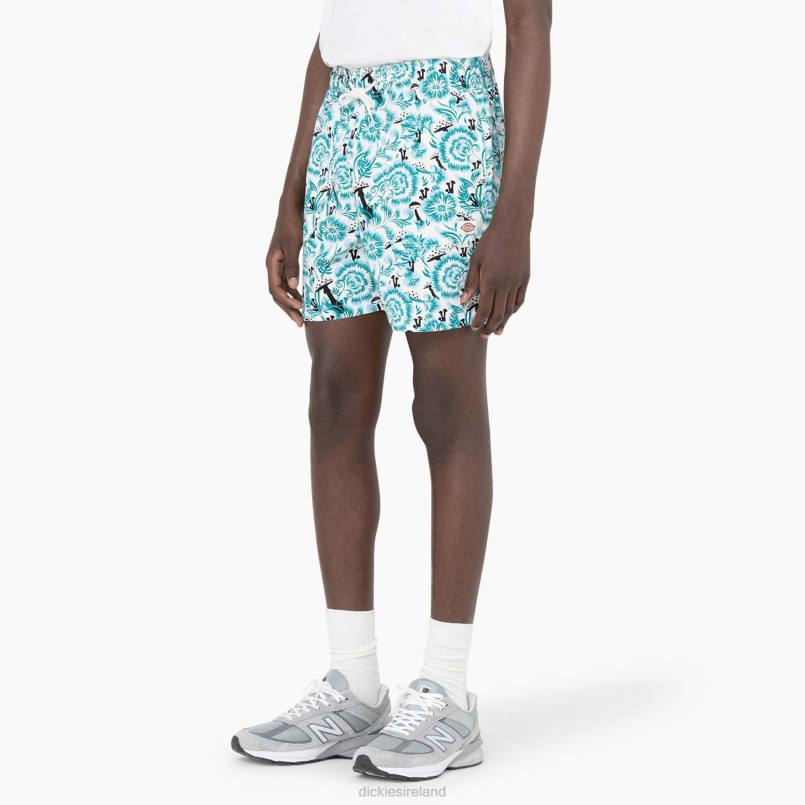 Dickies Men Roseburg Shorts 7