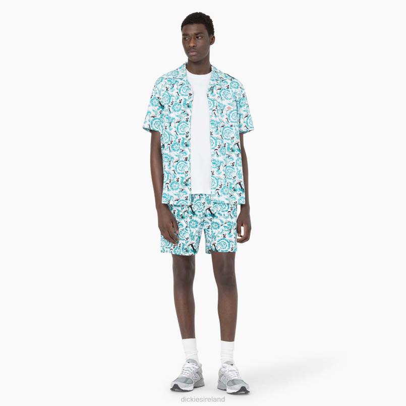 Dickies Men Roseburg Shorts 7