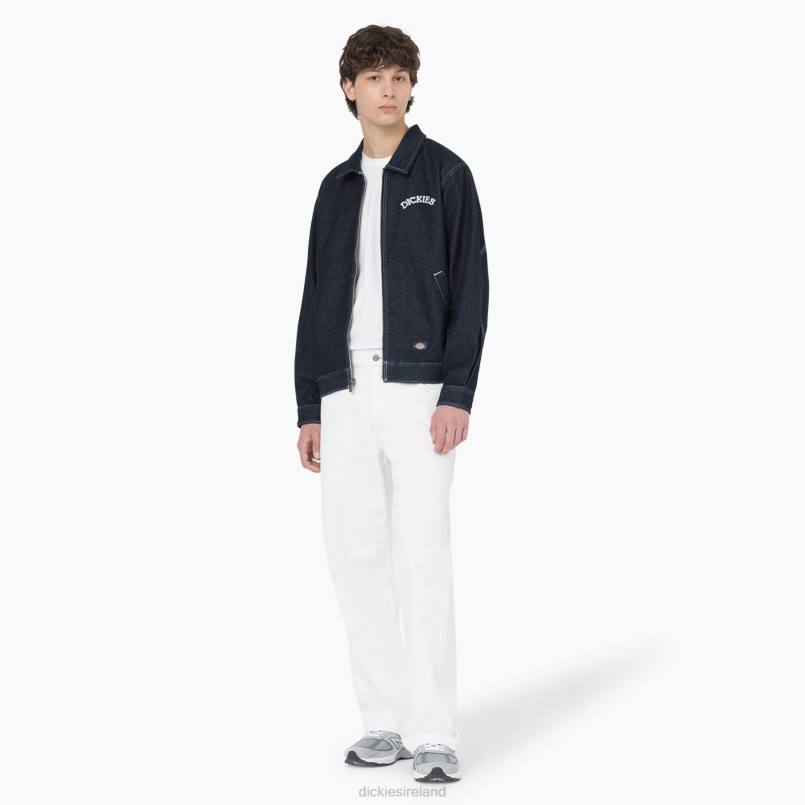 Dickies Men Skateboarding Wingville Loose Fit Jeans Natural Beige (NT) N80J273 Apparel