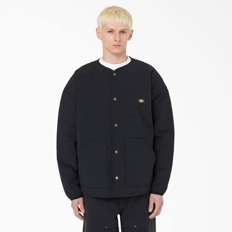 Dickies Men Thorsby Liner Jacket Black (BKX) N80J1111 Apparel