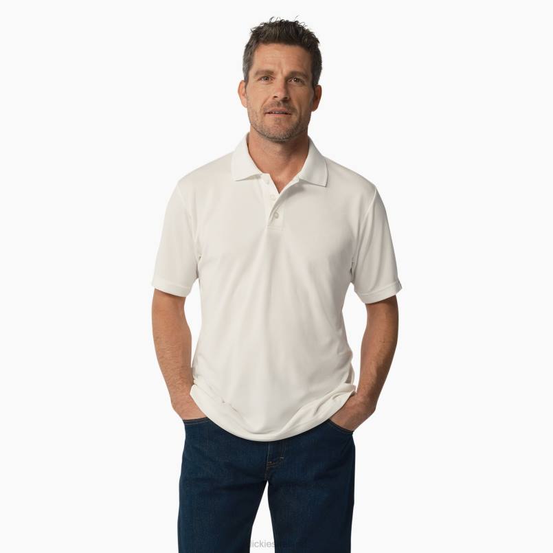 Dickies Men Short Sleeve Performance Polo Shirt White (WH) N80J673 Apparel