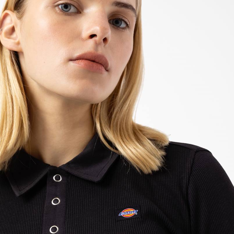 Dickies Women Tallasee Long Sleeve Cropped Polo Black (KBK) N80J2200 Apparel
