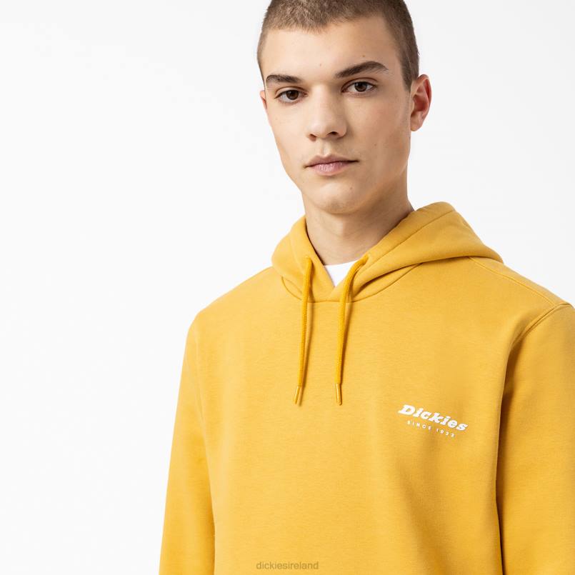 Dickies Men Camden Box Graphic Hoodie Regular N80J1166 Apparel