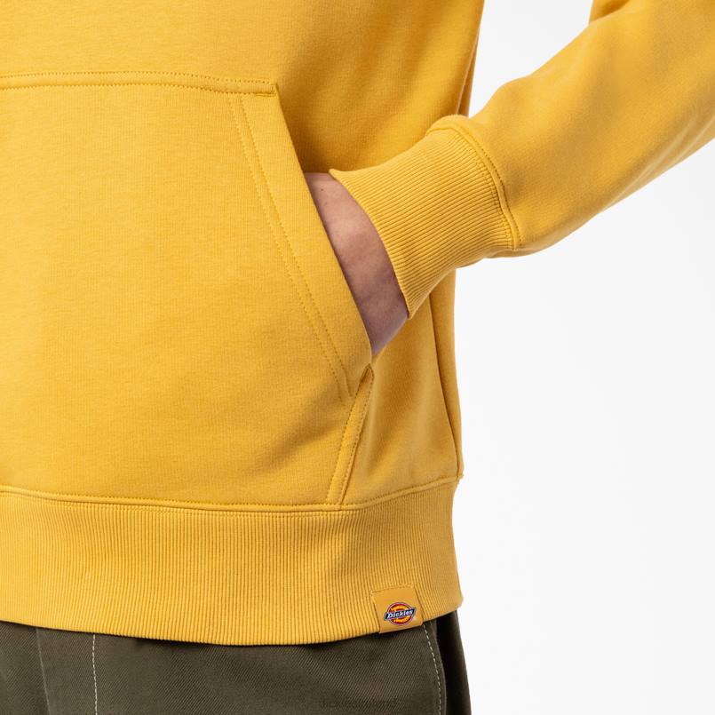 Dickies Men Camden Box Graphic Hoodie Regular N80J1166 Apparel