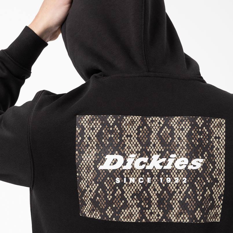 Dickies Men Camden Box Graphic Hoodie Regular N80J1167 Apparel