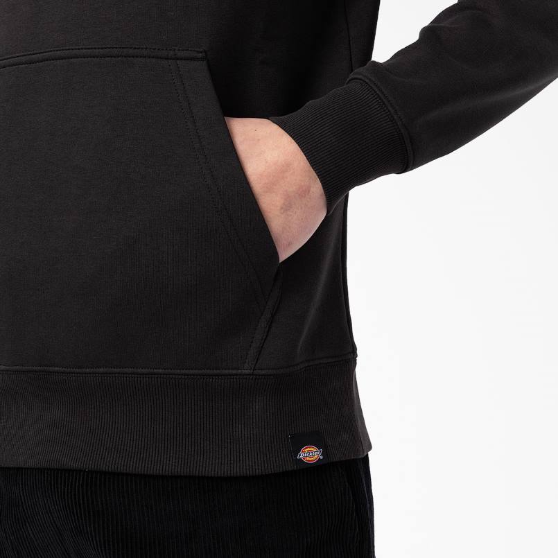 Dickies Men Camden Box Graphic Hoodie Regular N80J1167 Apparel