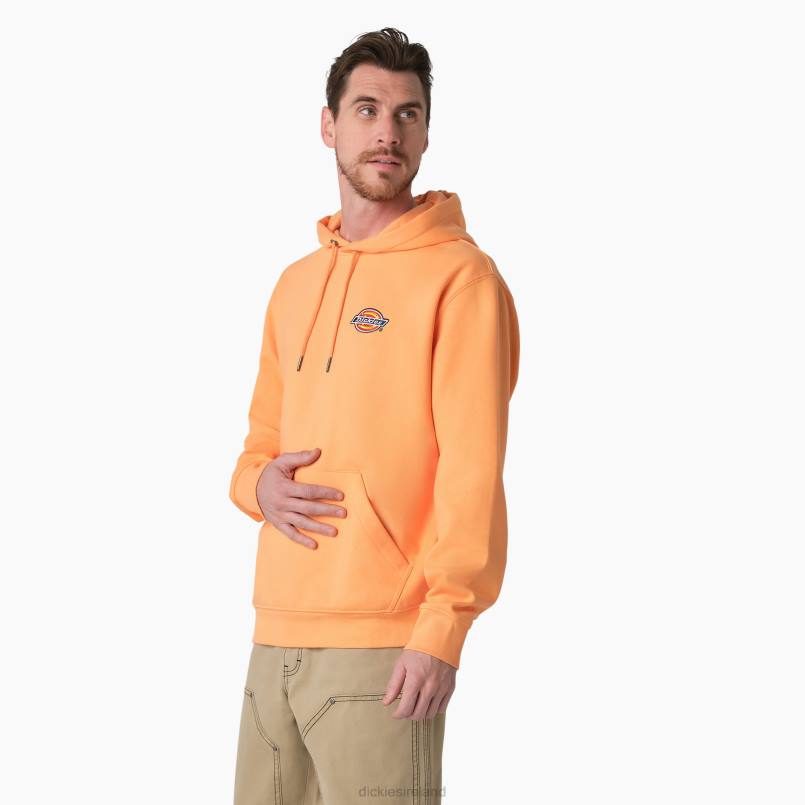 Dickies Men Fleece Embroidered Chest Logo Hoodie Regular N80J1210 Apparel