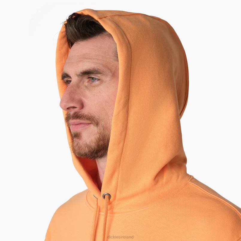 Dickies Men Fleece Embroidered Chest Logo Hoodie Regular N80J1210 Apparel