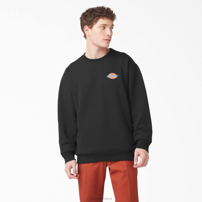 Dickies Men Fleece Embroidered Chest Logo Sweatshirt Regular N80J1132 Apparel