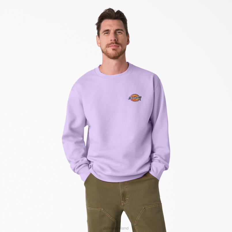 Dickies Men Fleece Embroidered Chest Logo Sweatshirt Regular N80J1134 Apparel