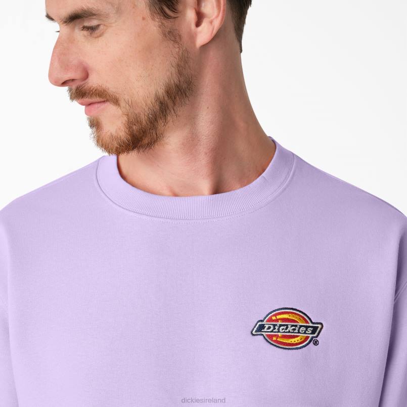 Dickies Men Fleece Embroidered Chest Logo Sweatshirt Regular N80J1134 Apparel