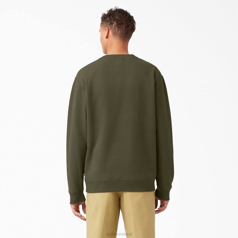 Dickies Men Fleece Logo Graphic Sweatshirt Regular N80J1213 Apparel