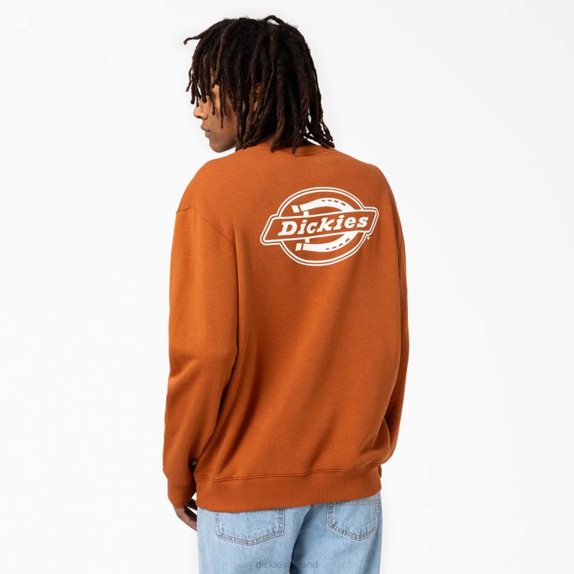 Dickies Men Holtville Sweatshirt Regular N80J1095 Apparel